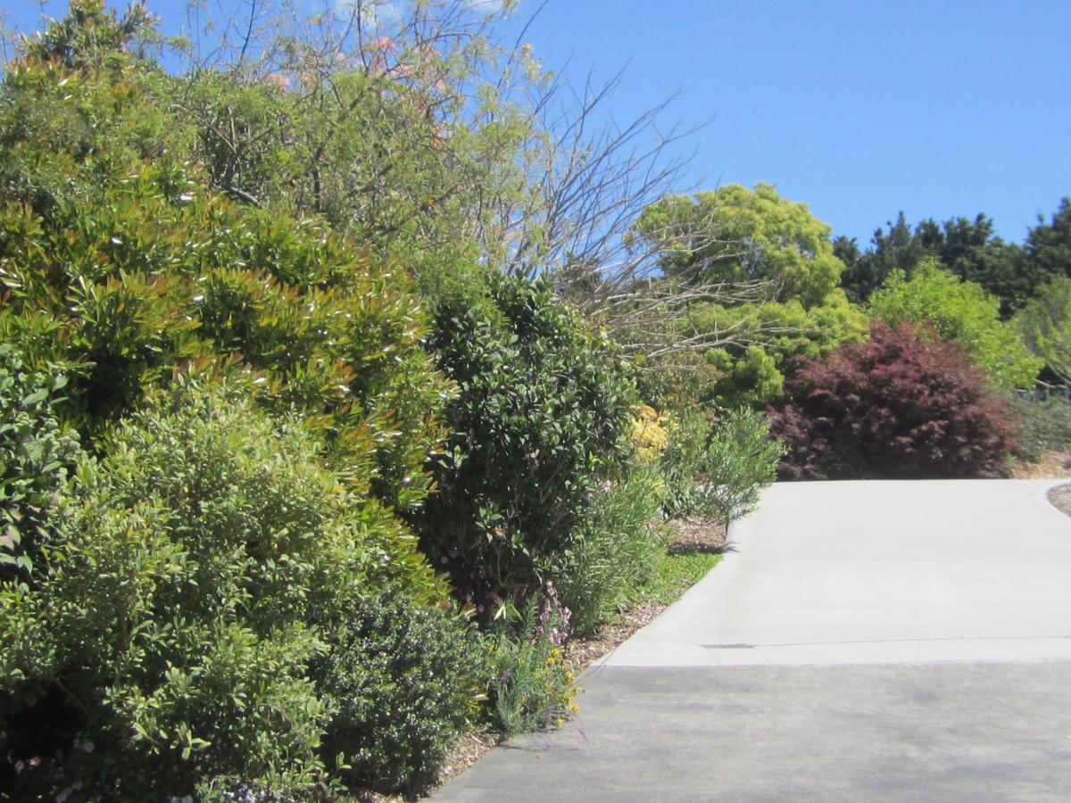 Hyecroft Lodge Whangarei Exterior foto